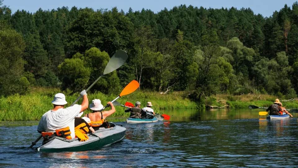 Spływ kajakowy Piaśnicą - przepiękna trasa w Dębkach nad morzem