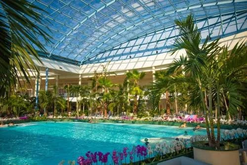 Ile kosztuje nocleg w suntago? Ceny, typy pokoi i zniżki na rezerwacje